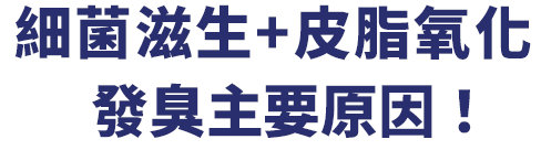 細菌滋生+皮脂氧化 圖片